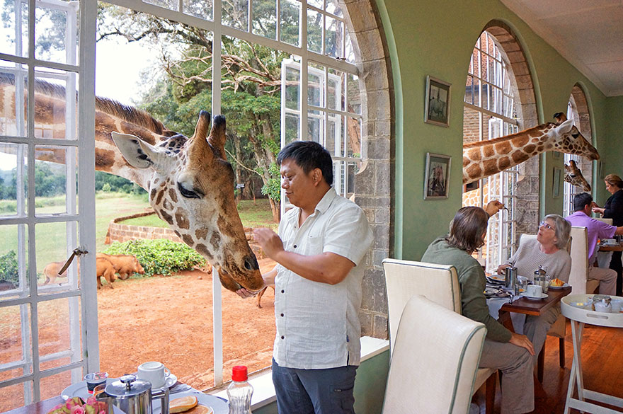 giraffe_manor_kenya_5_2