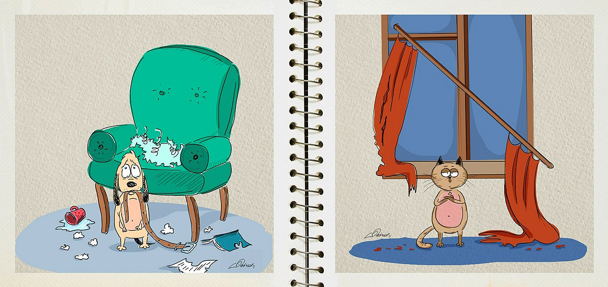 dog-vs-cat-funny-pictures-by-russian-illustrator-bird-born-2